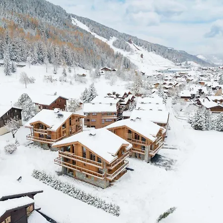 De Luxe Avec Espace Détente à Le Praz, Proche Des Pistes Et Commodités - Fr-1-568-42 Chalet Courchevel